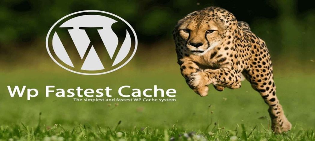 wordpress eklentileri wp fastest cache