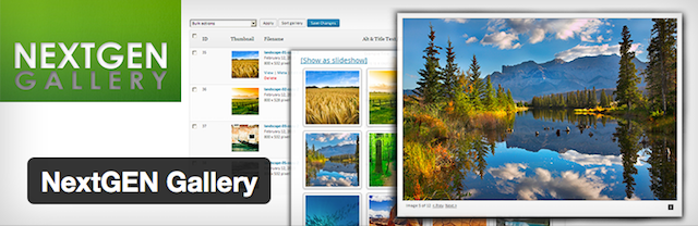 WordPress galeri eklentisi NextGEN