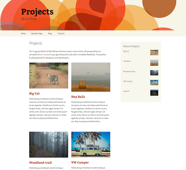 WordPress portföy eklentisi Projects by WooThemes