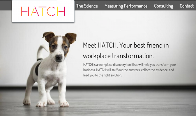 Hatch Analytics website home page