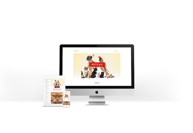 GoDadd's New Website Builder Petluv