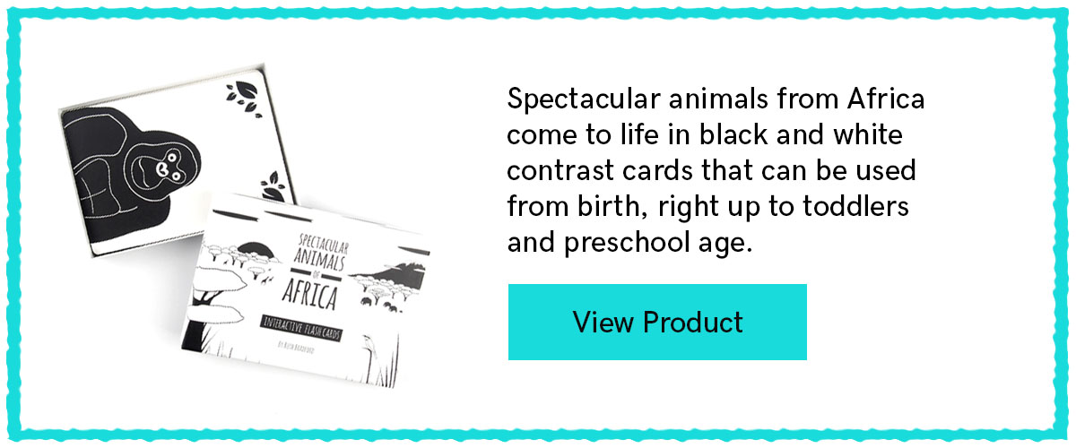 Animal flash cards African animals