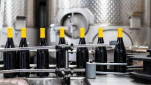 Vindemia winery bottles on a conveyor belt