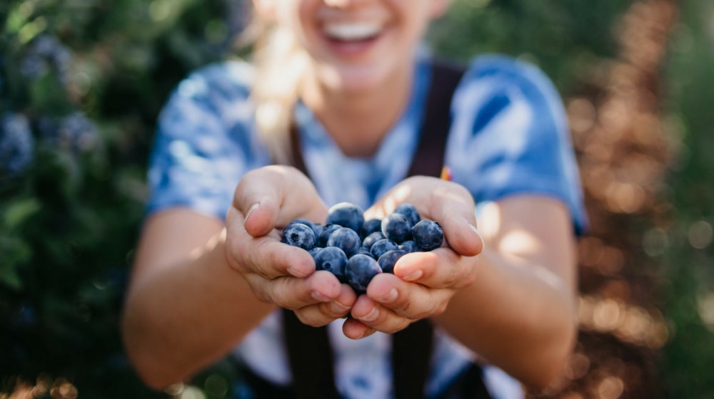 Increase Sales Blueberries