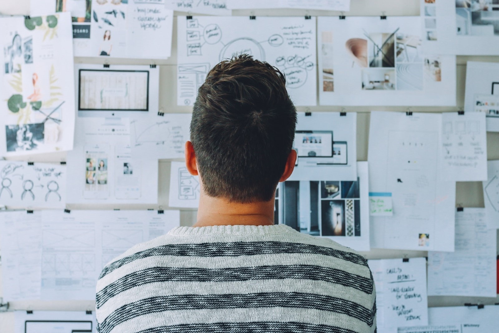 Man examining papers stuck to a whiteboard