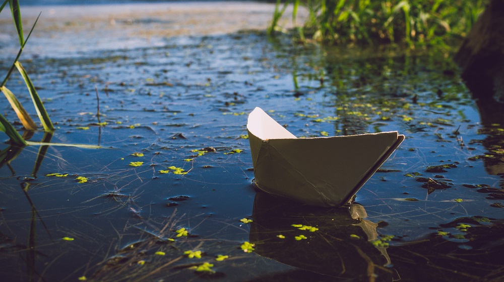 Paper Boat Floating On Mossy Pond