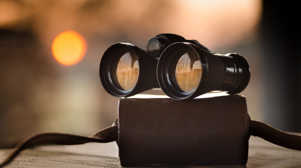 Pair of binoculars resting on a leather case