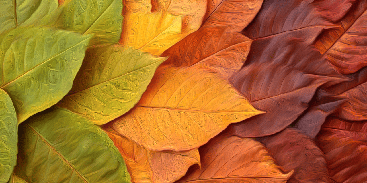 Setting intentions can transform your business like leaves changing color