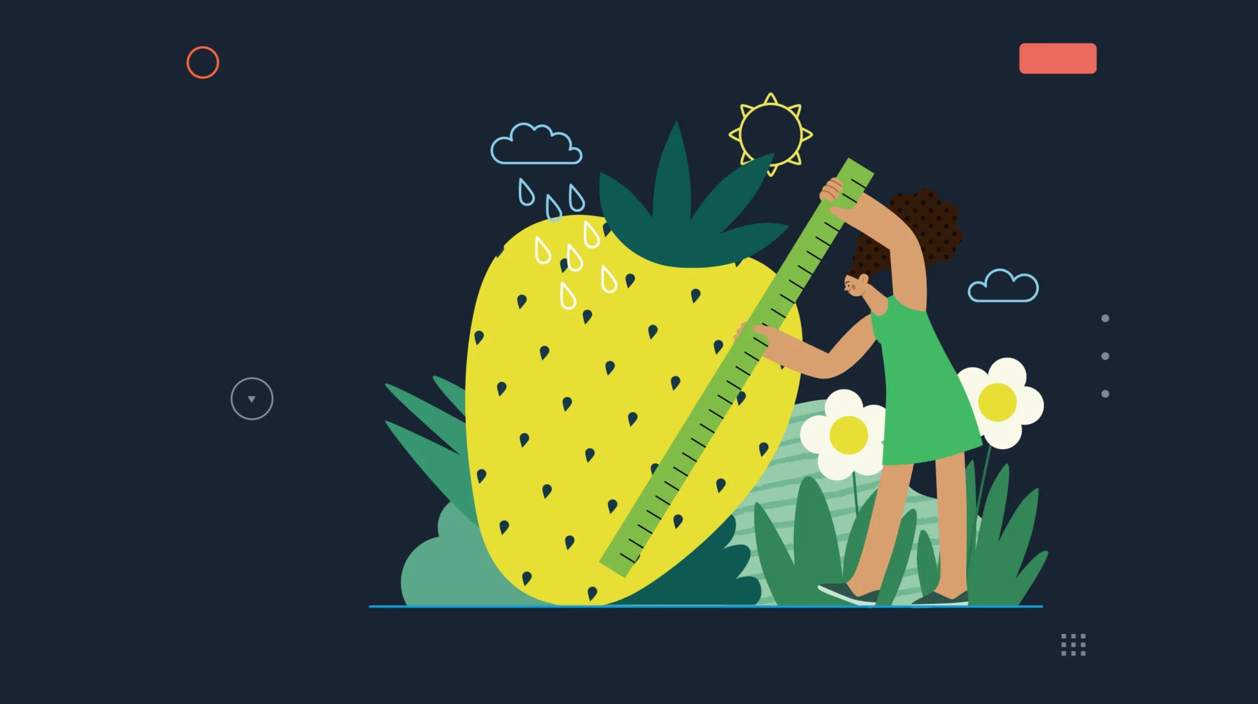 An illustration depicting a person in a green dress measuring a giant yellow strawberry with a large green ruler. The strawberry has small black seeds and is surrounded by green leaves. There are also white flowers with yellow centers and other plants in the background. The scene includes a sun, clouds, and raindrops, all set against a dark background.