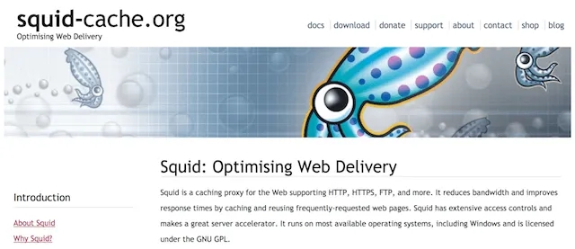 A Screenshot Depicts the Home Page of Squid