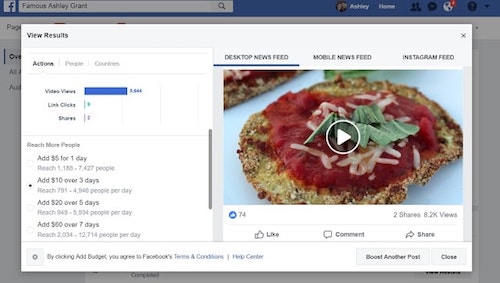 Facebook Page Insights Eggplant Video Actions