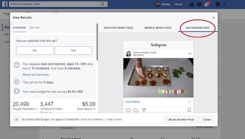 Facebook Page Insights Eggplant Video Instagram