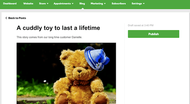 GoDaddy GoCentral Blog Feature Bear