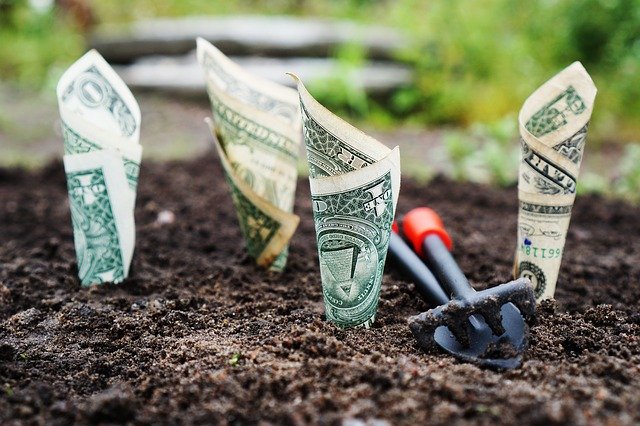 Money Stuck In The Dirt With Gardening Tools Nearby