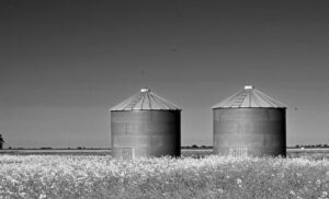 Growth Strategy Silos