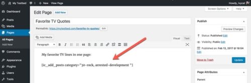 Wordpress Page Editing Example