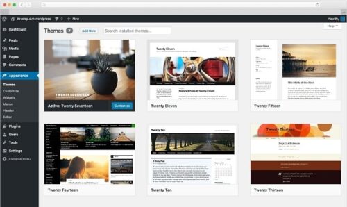 Listing of Popular WordPress Themes