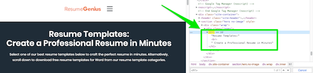 Resume Genius Page Inspector H1