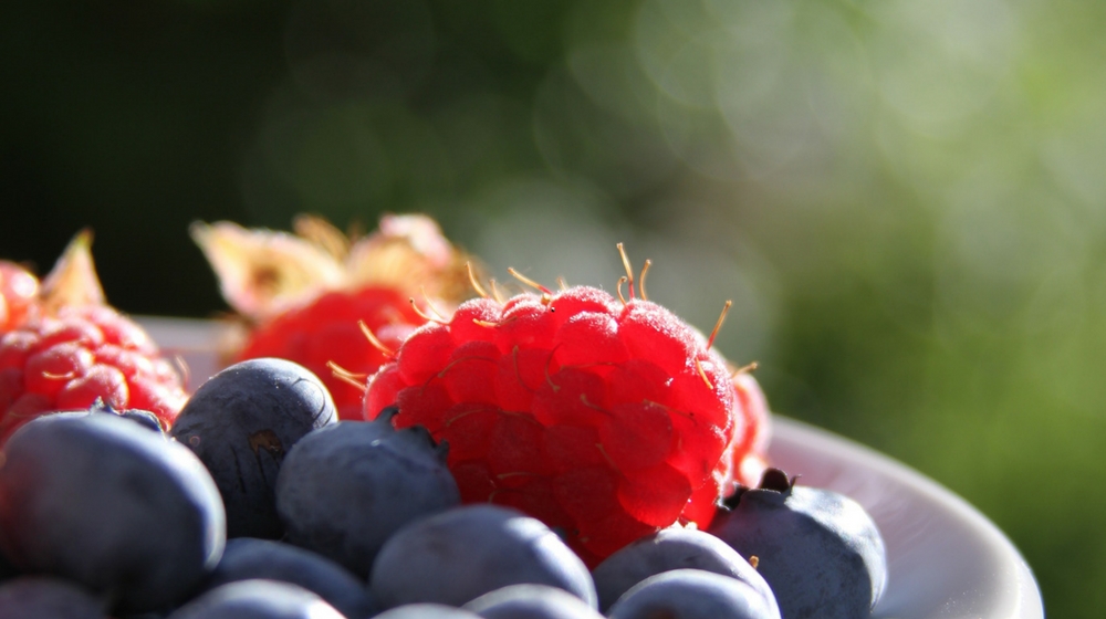 Sell Art Online Bowl of Fruit