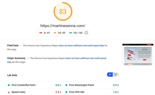 Google PageSpeed Insights Panel