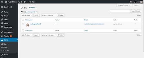 WordPress Dashboard Users